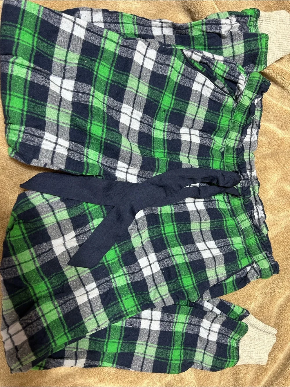 aerie Green, Navy & White Plaid Lounge Shorts